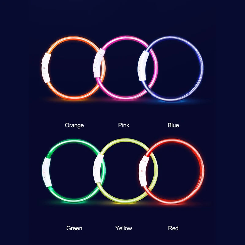 MIVOO NightSafe / Collar Luminoso Antipérdida para Perros 🌙