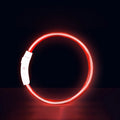 MIVOO NightSafe / Collar Luminoso Antipérdida para Perros 🌙