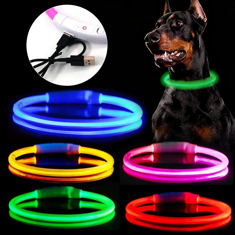 MIVOO NightSafe / Collar Luminoso Antipérdida para Perros 🌙