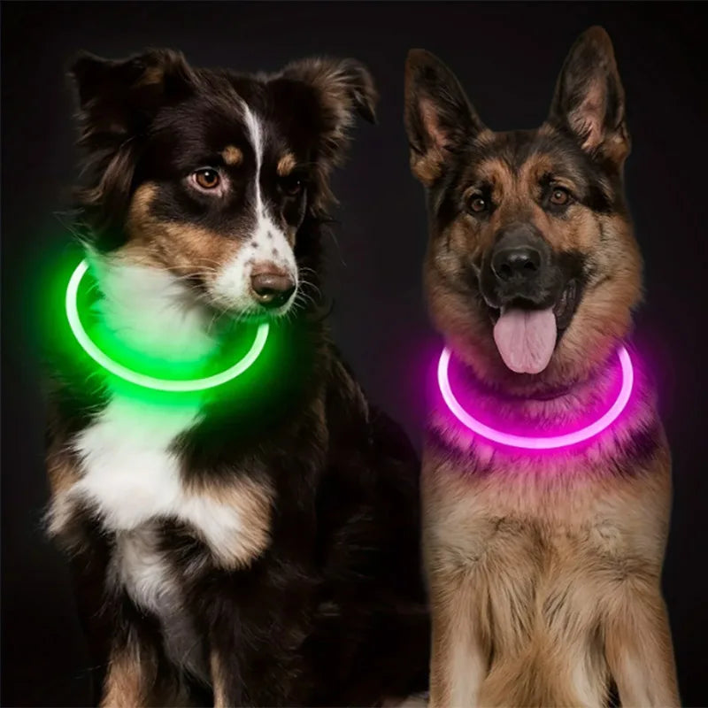 MIVOO NightSafe / Collar Luminoso Antipérdida para Perros 🌙