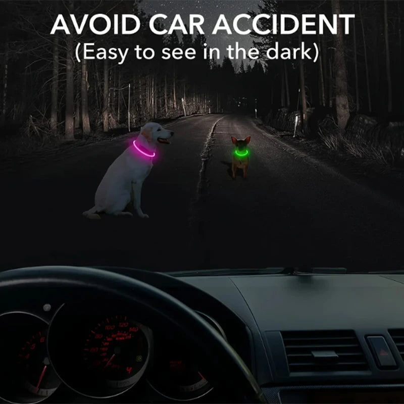 MIVOO NightSafe / Collar Luminoso Antipérdida para Perros 🌙