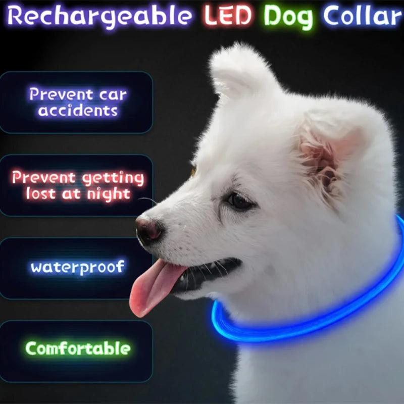 MIVOO NightSafe / Collar Luminoso Antipérdida para Perros 🌙